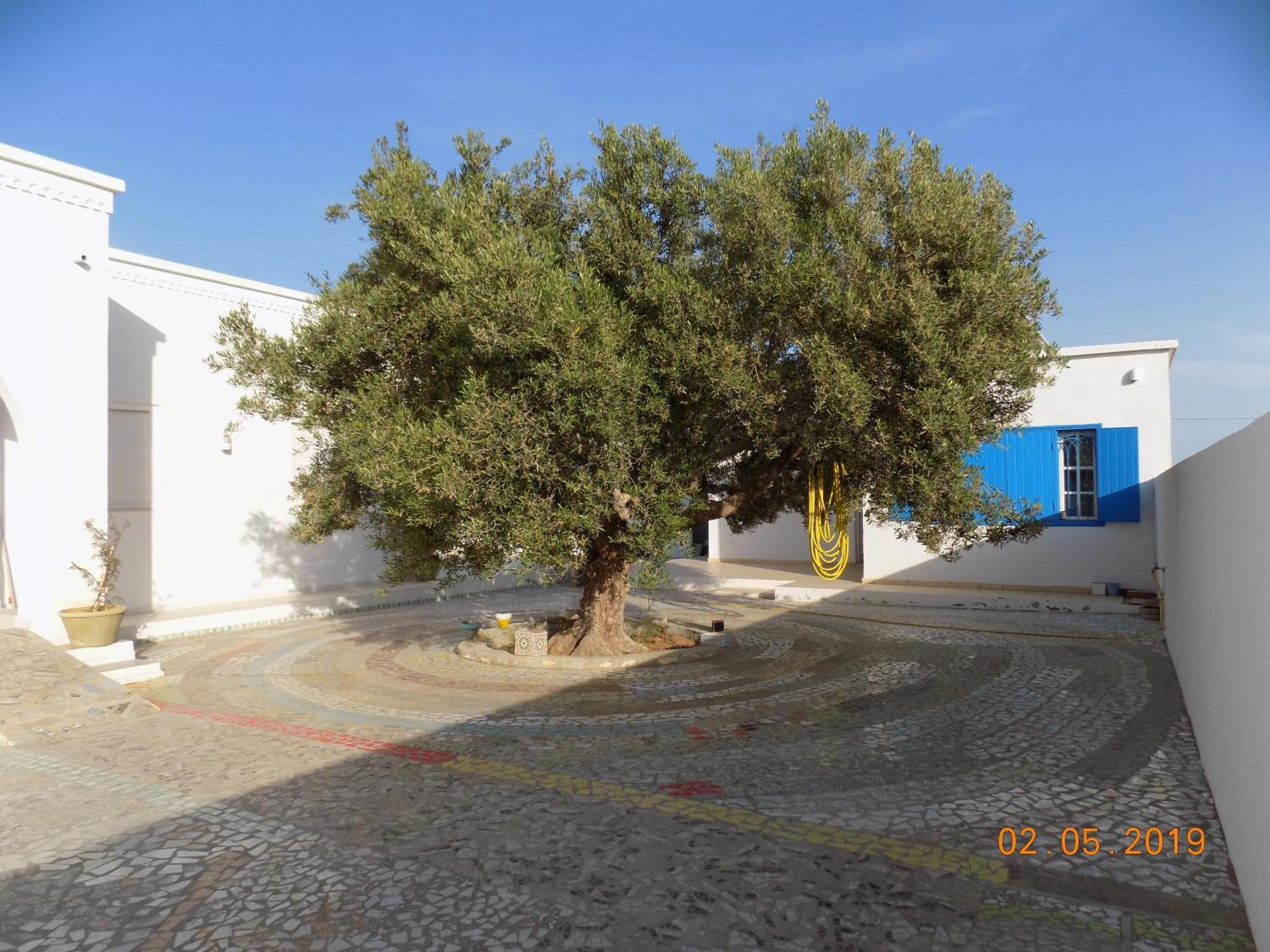 Sidi ash ShammakhDar Mamina住宿加早餐旅馆 外观 照片