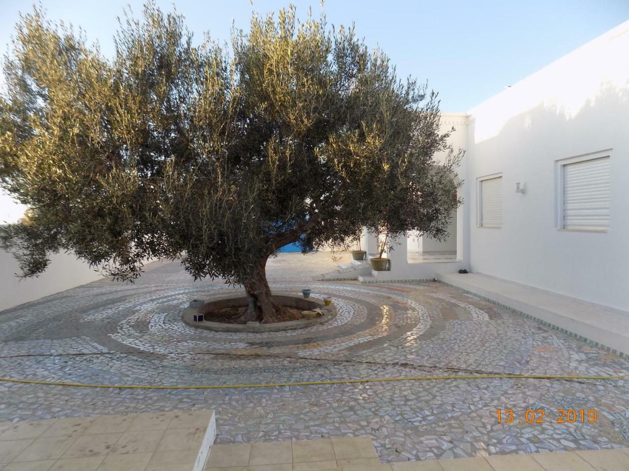 Sidi ash ShammakhDar Mamina住宿加早餐旅馆 外观 照片