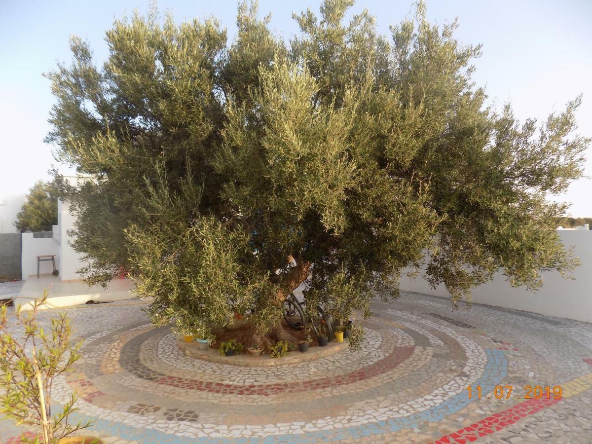 Sidi ash ShammakhDar Mamina住宿加早餐旅馆 外观 照片